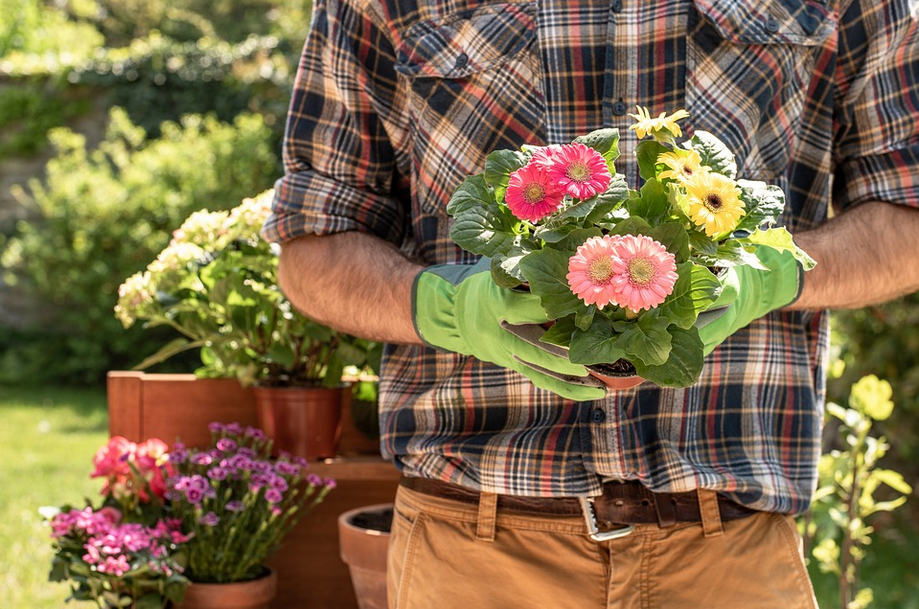 Garden Living: How to Create Your Own Oasis