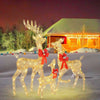 3-Piece Lighted Christmas Deer Family Set, Outdoor Holiday Decorations with LED Lights