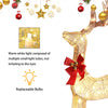 Lighted Christmas Golden Reindeer & Red Sleigh Set, Outdoor Decor Xmas Deer Set w/ LED Lights